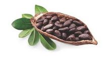 Sun-dried cocoa beans