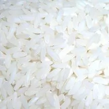 长粒水稻