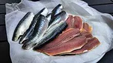 Filetes de sardina congelados a granel