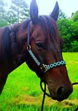 Frontalera, banda de caballo de cuero con cuentas, diadema masái