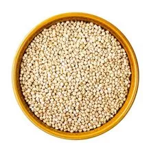 Sorgo blanco dulce natural al por mayor altamente nutritivo