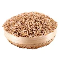 Qualitative oat grains most important grain feed crops enriched with vitamins and minerals price