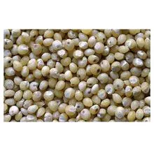 Atacado Não OGM Alto Grau Boa Qualidade Natural Saudável A Granel Orgânico Sementes de Painço Cru Seco Milho Vermelho Para Alimentos