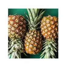 Fornecedor por atacado Golden Fresh Pineapples Grau Fresh Pineapple Fresh Sweet Pineapples