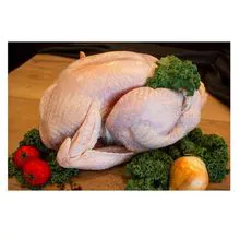 Precio barato Pavo congelado de alta calidad Carne Halal Proveedor en línea 