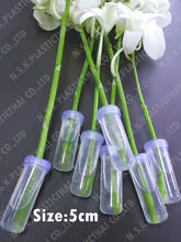 Tubo de agua de plástico de flores de orquídea de buena calidad - tubo de hidratación de flores