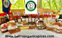 Fuzed Bistro Organic Products 