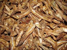 Grade A Dried StockFish / Stock Fish for Sale
