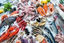 Cangrejo real rojo vivo / Langosta de Noruega viva / Proveedor de salmón atlántico fresco / Pescado seco / Bacalao / Mariscos de Noruega