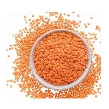 Cheap bulk Sale of Lentils/Red Lentils, Red Whole Lentils, Red Split Lentils