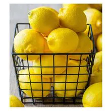 Ventas De Temporada Caliente Limón Fresco Y Lime Fresca Limones Naranjas Limón Amarillo Fresco 