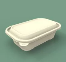 Square 100% biodegradable disposable food container