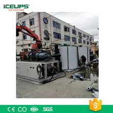Em grande escala industrial-factura de gelo máquina de processamento de alimentos de produtos aquáticos cubos de gelo da máquina 5 toneladas ~ 50 ton
