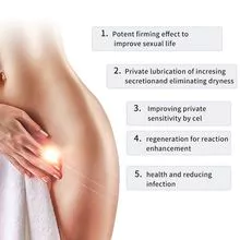 阴道收紧Hifu医疗设备，带两个墨盒