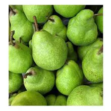 Preço barato por atacado de melhor qualidade de frutas frescas peras doces para venda em todo o mundo 