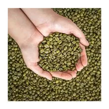 Venda quente torrado orgânico Robusta grãos de café verde