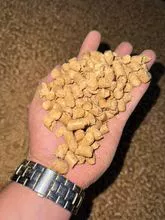 Pelleted soybean hulls