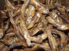 Peixe de estoque seco Noruega, bacalhau, Haithe, Haddock, cabeças de peixe secado estoque para venda