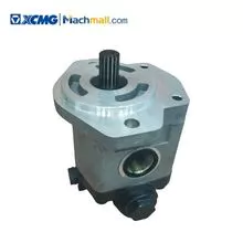 XCMG official crane spare parts steering oil pump QC18/14-D14XZ or ZCB118-160/140X *803006891