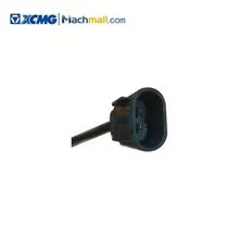 XCMG Official Crane Spare Parts Slewing Buffer Valve XH10Z-AY *803072538