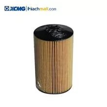 XCMG Official Crane Spare Parts 200V05504-0122 Elemento de filtro de aceite* 819964675