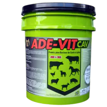 ADE-VIT CAV - 牛