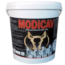 MODICAV - Cattle
