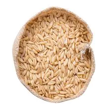 100% Pure Quality Rolled oats Grains Available / High Quality Oat Flakes For sale