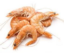 Brazilian seafood supplier 
