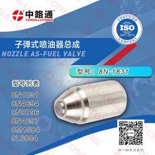 油泵、油嘴、柱塞、共轨阀组件