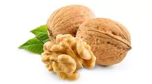 Walnuts Kernel 