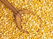 Compre Chana Dal al por mayor - ¡Excelentes precios!