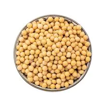 Alta qualidade natural e não transgênica Yellow Soyabean Premium Vendedor de soja amarela