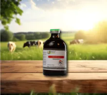 Inyección de amoxicilina