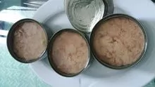 CANNED TUNA IN VEGETABLE OIL