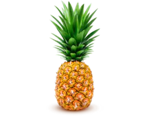 Pineapple - Pulp NFC, Juice Concentrate, Cloudy and Clarified
