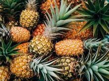 Whole juice, fruit nectar, purees and fruit pulp - PINEAPPLE
