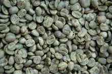 PREMIUM GRADE GREEAN ROASTED ROBUSTA ARABICA COFFEE BEANS BEST PRICE