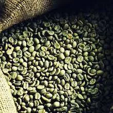 Grano de café arábica orgánico