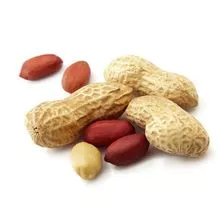 Wholesale shelled peanuts are environmentally friendly with beneficial substances and easily absorbed by the body