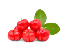 Acerola (verde/rojo) - Pulpa, Jugo Concentrado, Clarificado y Ultrafiltrado