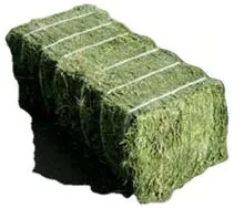 Alfalfa hay 100% Alfalfa hay For Animal feed