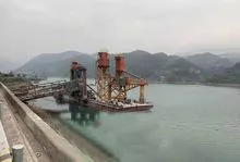 Bulk cargo loader