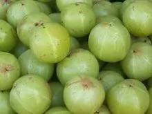 Amla fruits