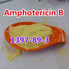 Anfotericina B CAS 1397-89-3