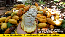 We have organic cocoa and derivatives from Bahia  