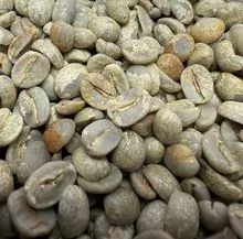 Conilon Robusta Verde Coffee