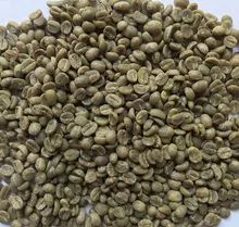 从肯尼亚购买绿咖啡豆 