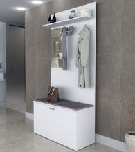 带入口大厅镜子的橱柜