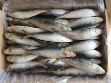 Pescado congelado de sardinas
